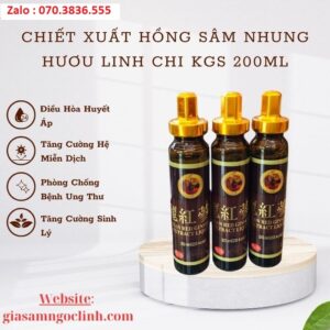 Chiet Xuat Hong Sam Nhung Huou Linh Chi KGS 200ml 1