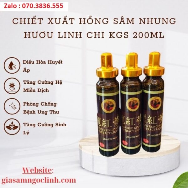 Chiết Xuất Hồng Sâm Nhung Hươu Linh Chi KGS 200ml