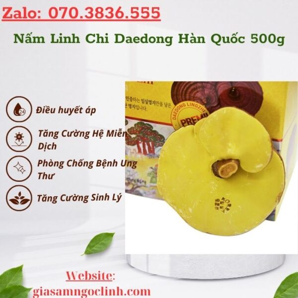 Nấm Linh Chi Daedong Hàn Quốc 500g