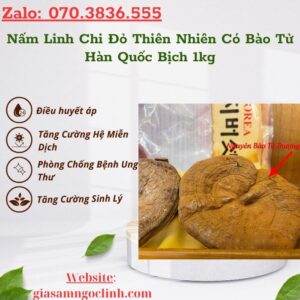 Nam Linh Chi Do Thien Nhien Co Bao Tu Han Quoc Bich 1kg 1