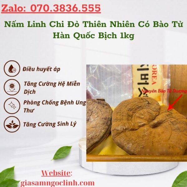 Nấm Linh Chi Đỏ Thiên Nhiên Có Bào Tử Hàn Quốc Bịch 1kg