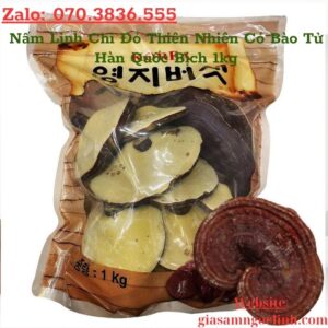 Nấm Linh Chi Đỏ Thiên Nhiên Có Bào Tử Hàn Quốc Bịch 1kg