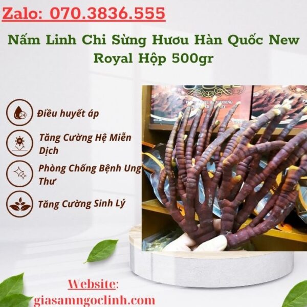 Nấm Linh Chi Sừng Hươu Hàn Quốc New Royal Hộp 500gr