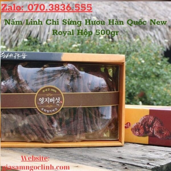 Nấm Linh Chi Sừng Hươu Hàn Quốc New Royal Hộp 500gr