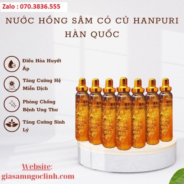 Nước Hồng Sâm Có Củ Hanpuri Hàn Quốc