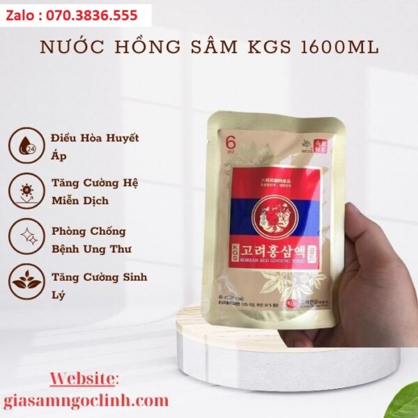 Nước Hồng Sâm KGS 1600ml