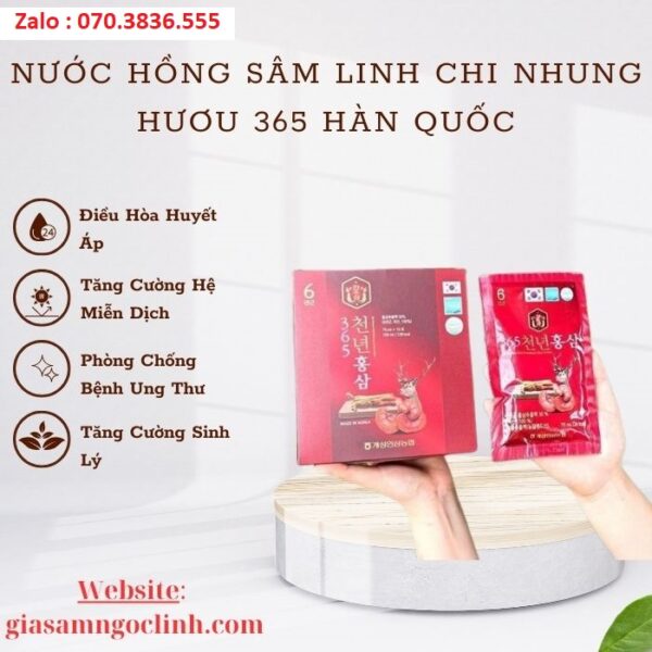 Nước Hồng Sâm Linh Chi Nhung Hươu 365 Hàn Quốc