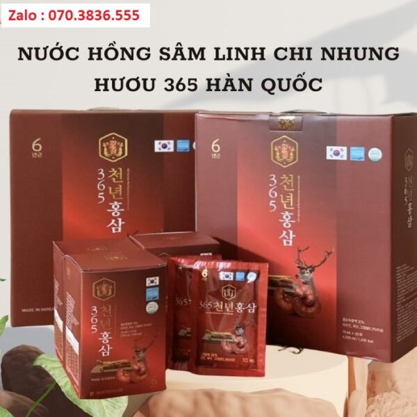 Nước Hồng Sâm Linh Chi Nhung Hươu 365 Hàn Quốc