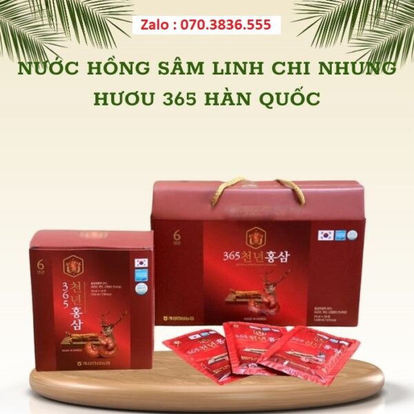 Nước Hồng Sâm Linh Chi Nhung Hươu 365 Hàn Quốc