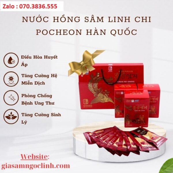 Nước Hồng Sâm Linh Chi Pocheon Hàn Quốc