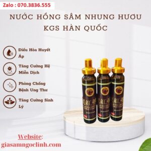 Nuoc Hong Sam Nhung Huou KGS Han Quoc 1