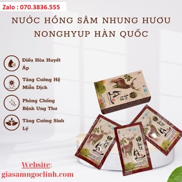 Nước Hồng Sâm Nhung Hươu Nonghyup Hàn Quốc