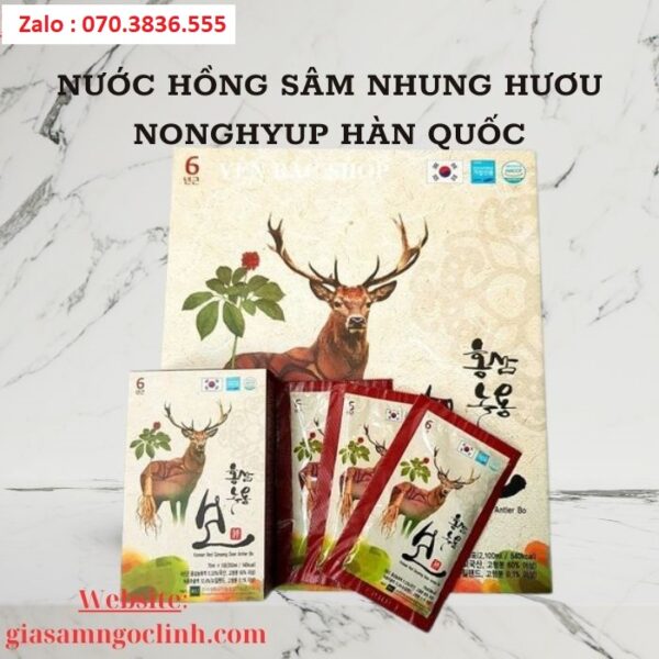 Nước Hồng Sâm Nhung Hươu Nonghyup Hàn Quốc