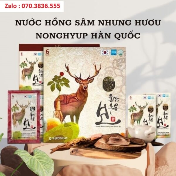 Nước Hồng Sâm Nhung Hươu Nonghyup Hàn Quốc