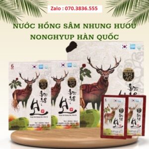 Nước Hồng Sâm Nhung Hươu Nonghyup Hàn Quốc