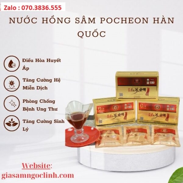 Nước Hồng Sâm Pocheon Hàn Quốc