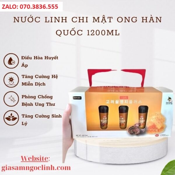 Nước Linh Chi Mật Ong Hàn Quốc 1200ml