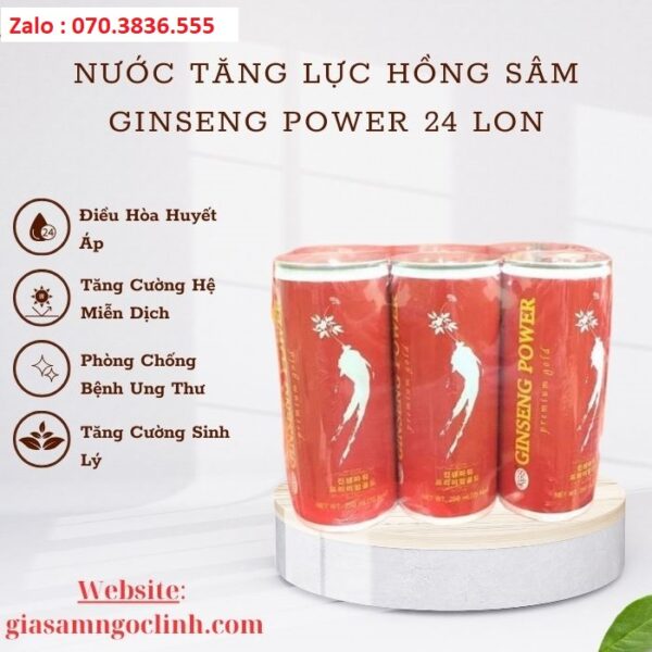 Nước Tăng Lực Hồng Sâm Ginseng Power 24 lon