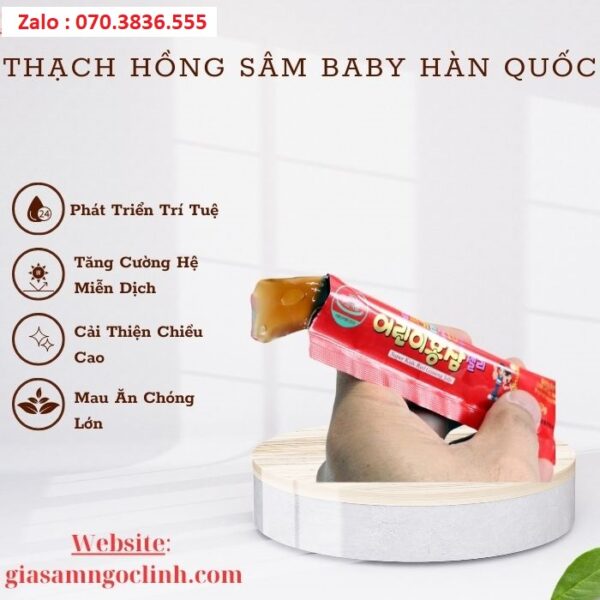 Thạch Hồng Sâm Baby Hàn Quốc