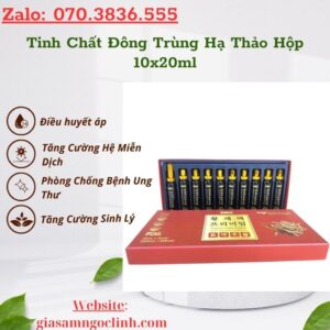 Tinh Chat Dong Trung Ha Thao Hop 10x20ml 1