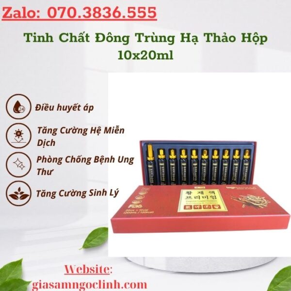 Tinh Chất Đông Trùng Hạ Thảo Hộp 10x20ml