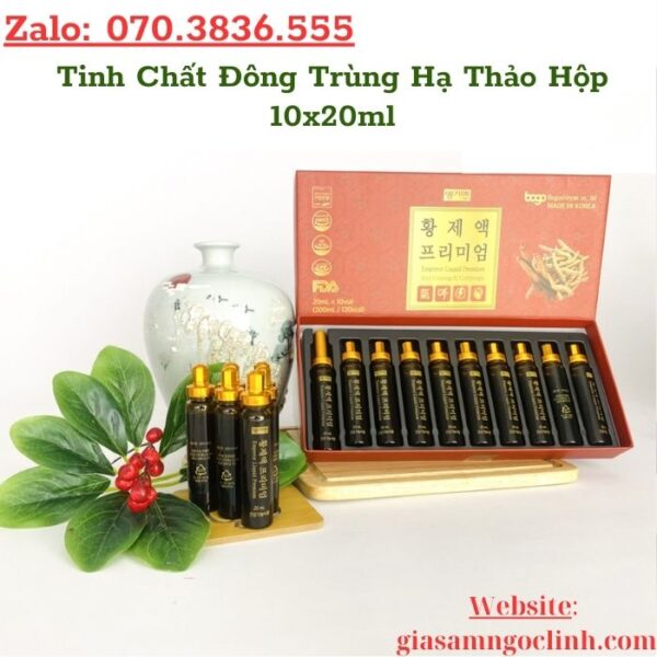 Tinh Chất Đông Trùng Hạ Thảo Hộp 10x20ml