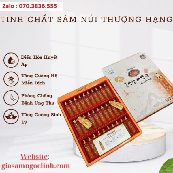 Tinh Chất Sâm Núi Thượng Hạng