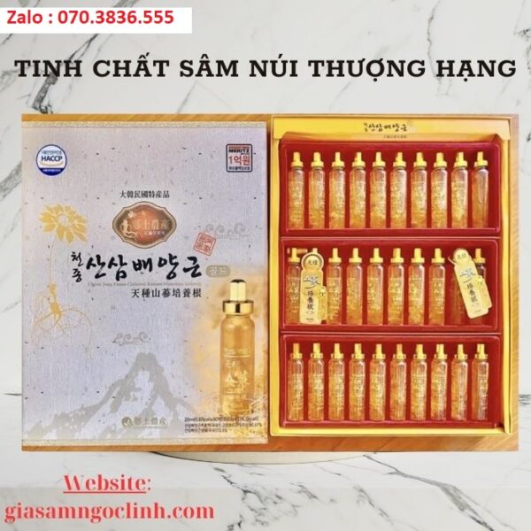 Tinh Chất Sâm Núi Thượng Hạng