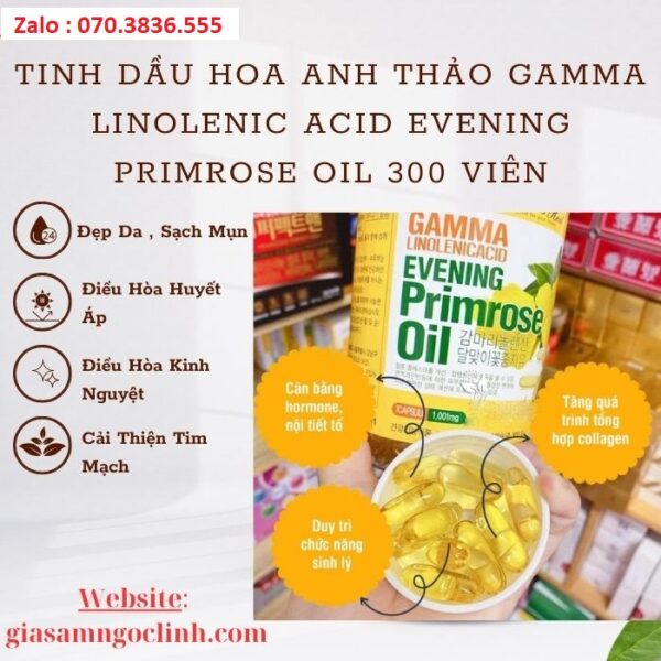 Tinh Dầu Hoa Anh Thảo Gamma Linolenic Acid Evening Primrose Oil 300 Viên