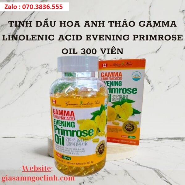 Tinh Dầu Hoa Anh Thảo Gamma Linolenic Acid Evening Primrose Oil 300 Viên