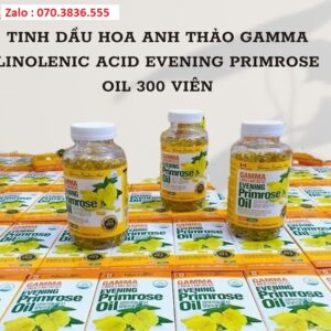 Tinh Dau Hoa Anh Thao Gamma Linolenic Acid Evening Primrose Oil 300 Vien 3