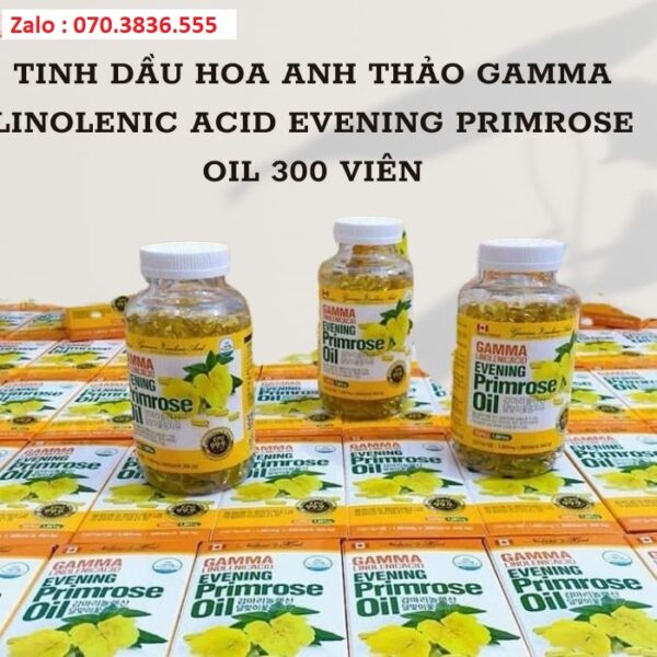 Tinh Dầu Hoa Anh Thảo Gamma Linolenic Acid Evening Primrose Oil 300 Viên