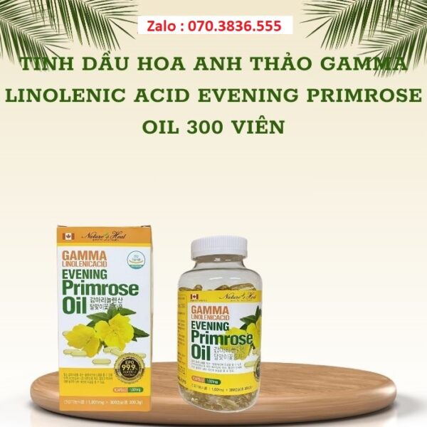 Tinh Dầu Hoa Anh Thảo Gamma Linolenic Acid Evening Primrose Oil 300 Viên
