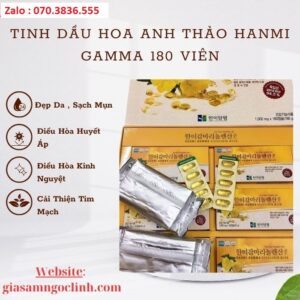Tinh Dầu Hoa Anh Thảo Hanmi Gamma 180 Viên Tinh Dau Hoa Anh Thao Hanmi Gamma 180 Vien 1