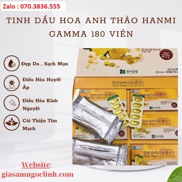Tinh Dầu Hoa Anh Thảo Hanmi Gamma 180 Viên