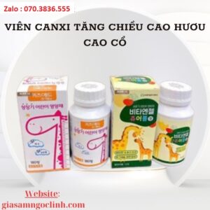 Vien Canxi Tang Chieu Cao Huou Cao Co 4