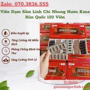 Vien Dam Sam Linh Chi Nhung Huou Kana Han Quoc 120 Vien 1