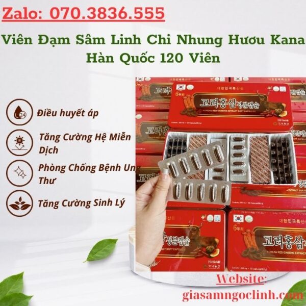 Viên Đạm Sâm Linh Chi Nhung Hươu Kana Hàn Quốc 120 Viên