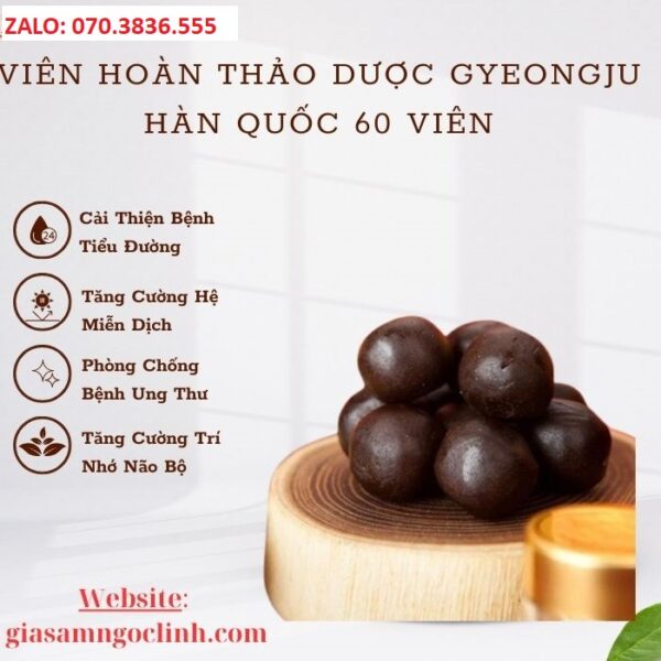 Viên Hoàn Thảo Dược Đông Trùng Hạ Thảo Gyeongju Hàn Quốc 60 Viên