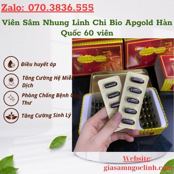 Viên Sâm Nhung Linh Chi Bio Apgold Hàn Quốc 60 viên