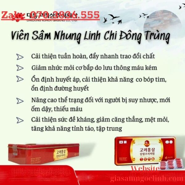 Viên Sâm Nhung Linh Chi Đông Trùng Daedong 120 Viên