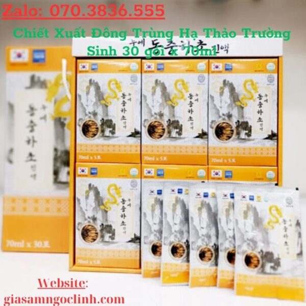 Chiết Xuất Đông Trùng Hạ Thảo Trường Sinh 30 gói x 70ml