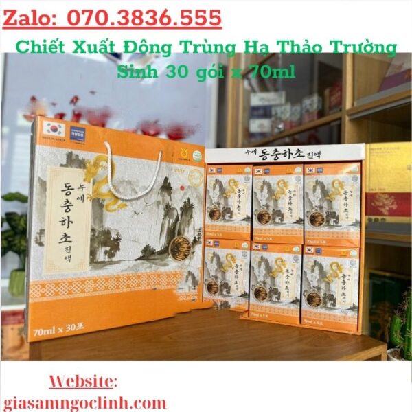 Chiết Xuất Đông Trùng Hạ Thảo Trường Sinh 30 gói x 70ml