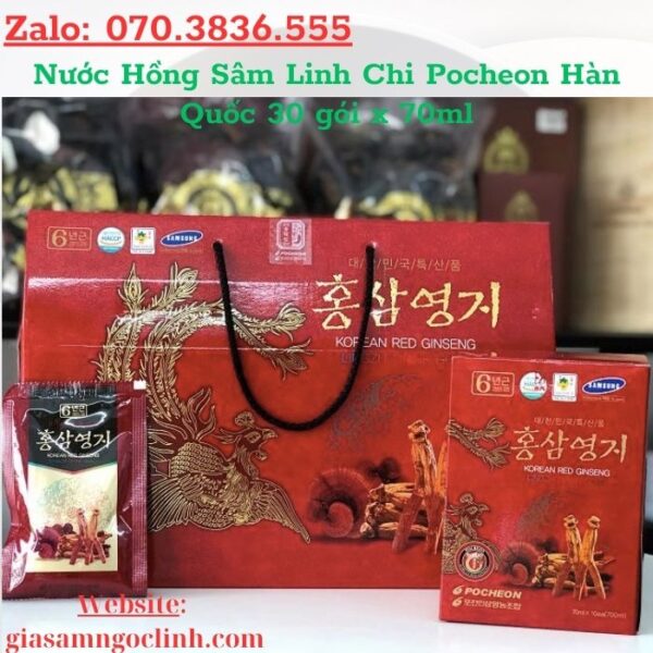 Nước Hồng Sâm Linh Chi Pocheon Hàn Quốc 30 gói x 70ml
