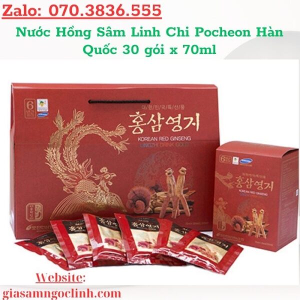Nước Hồng Sâm Linh Chi Pocheon Hàn Quốc 30 gói x 70ml