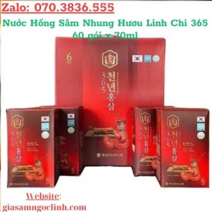 Nuoc Hong Sam Nhung Huou Linh Chi 365 60 goi x 70ml 2