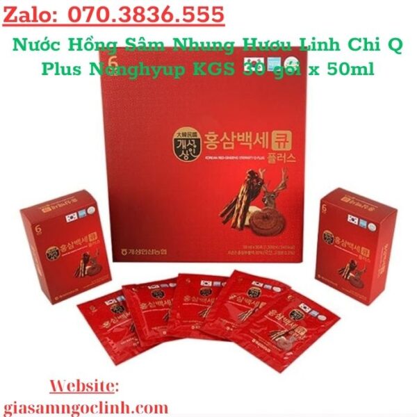 Nước Hồng Sâm Nhung Hươu Linh Chi Q Plus Nonghyup KGS 30 gói x 50ml