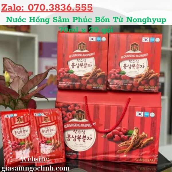 Nước Hồng Sâm Phúc Bồn Tử Nonghyup 70ml x 20 gói