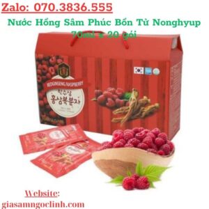 Nước Hồng Sâm Phúc Bồn Tử Nonghyup 70ml x 20 gói
