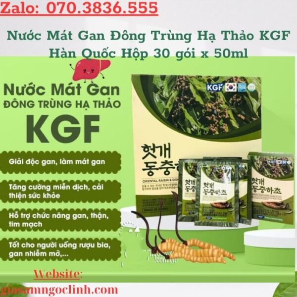 Nước Mát Gan Đông Trùng Hạ Thảo KGF Hàn Quốc Hộp 30 gói x 50ml